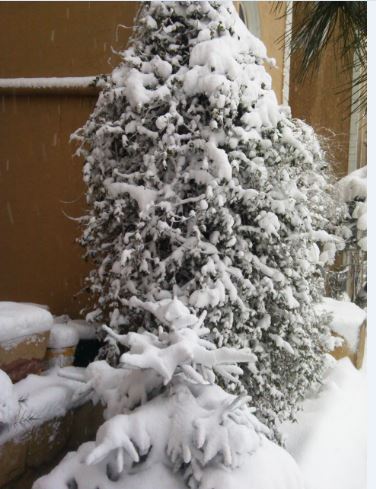Name:  Ekran Alnts8.JPG
Views: 319
Size:  48.1 KB