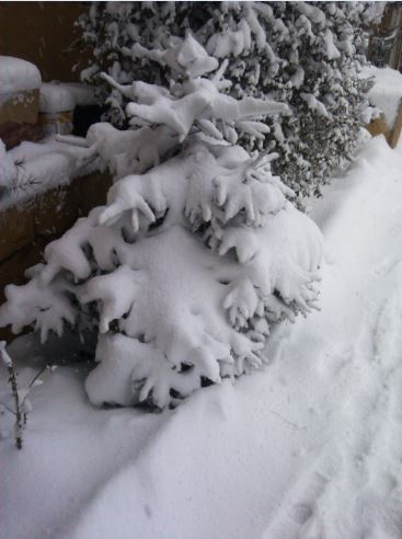 Name:  Ekran Alnts10.JPG
Views: 289
Size:  35.5 KB