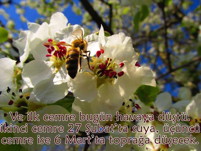 Name:  10610738_1577057385845014_5549011064188770945_n.jpg
Views: 971
Size:  62.2 KB
