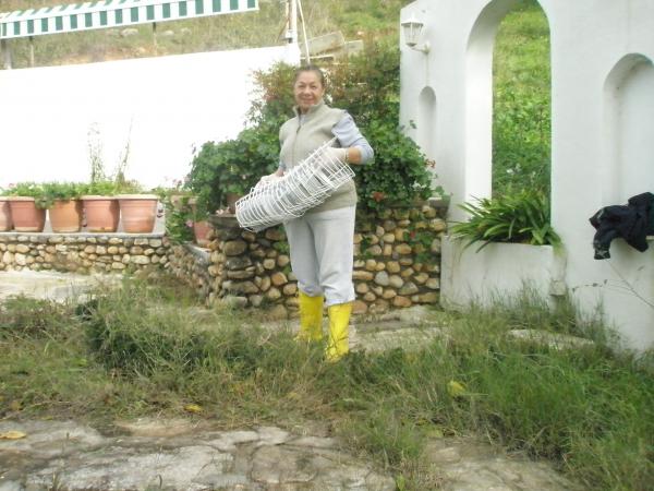 Name:  PB251408.jpg
Views: 936
Size:  50.1 KB