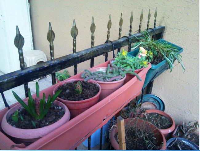 Name:  Ekran Alnts2.jpg
Views: 440
Size:  53.8 KB