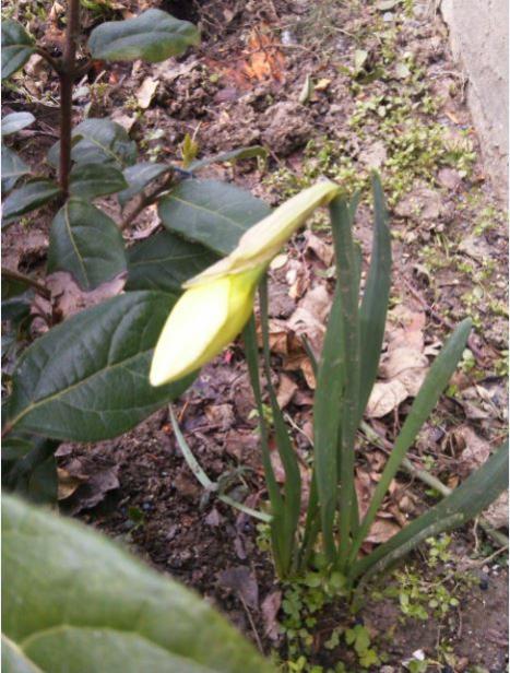 Name:  Ekran Alnts4.jpg
Views: 462
Size:  60.7 KB