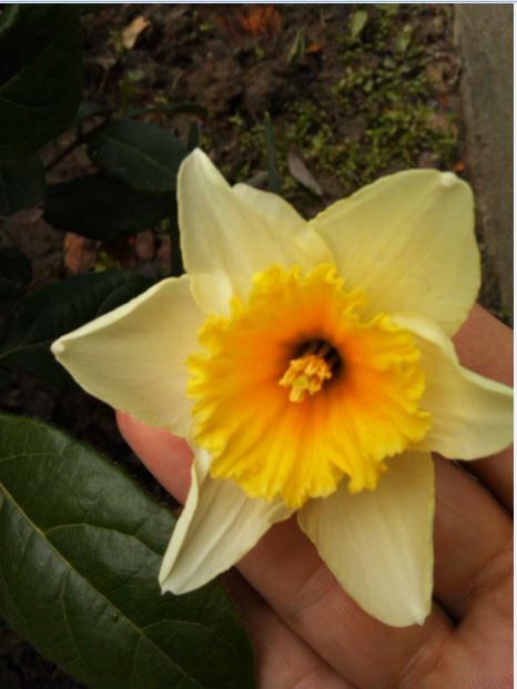 Name:  Ekran Alnts5.JPG
Views: 700
Size:  42.2 KB
