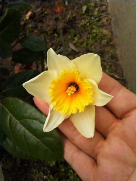 Name:  Ekran Alnts6.JPG
Views: 457
Size:  45.1 KB