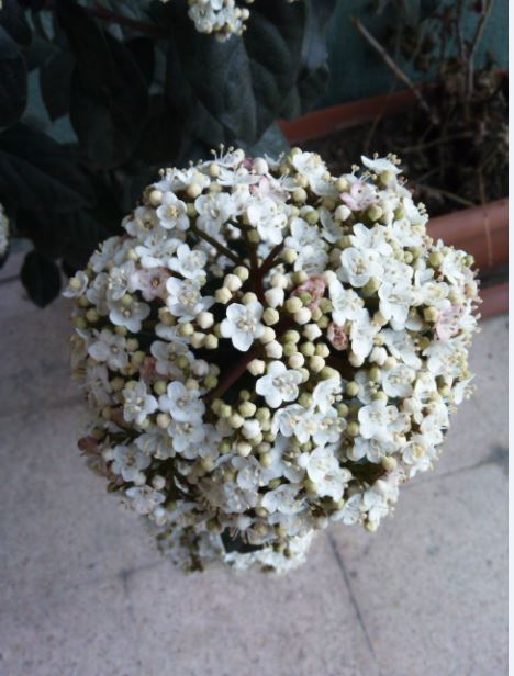 Name:  Ekran Alnts7.JPG
Views: 576
Size:  55.3 KB