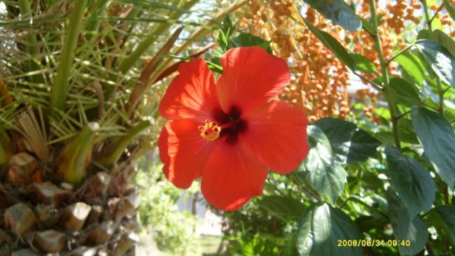 Name:  560853_10151220644253415_1231715415_n.jpg
Views: 812
Size:  46.2 KB