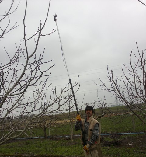 Name:  ABCD0004.JPG
Views: 1262
Size:  61.2 KB