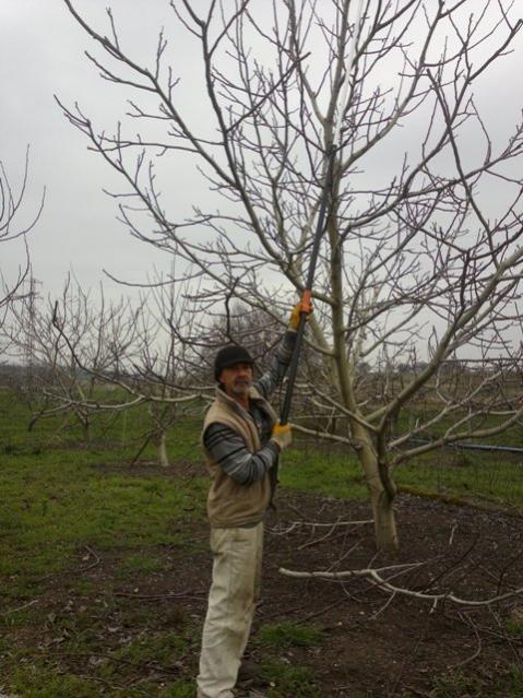 Name:  ABCD0003.jpg
Views: 1284
Size:  63.7 KB