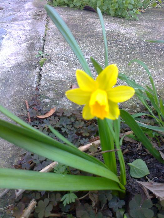 Name:  Fotoraf1982.jpg
Views: 537
Size:  74.5 KB