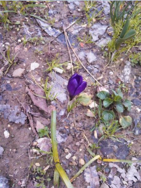 Name:  Ekran Alntsb.jpg
Views: 411
Size:  63.7 KB