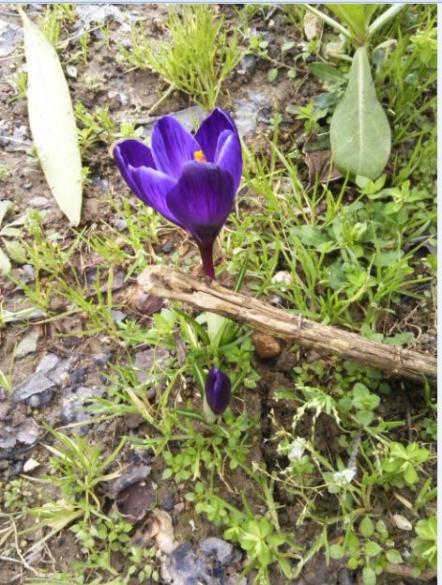Name:  Ekran Alntsc.jpg
Views: 400
Size:  66.5 KB