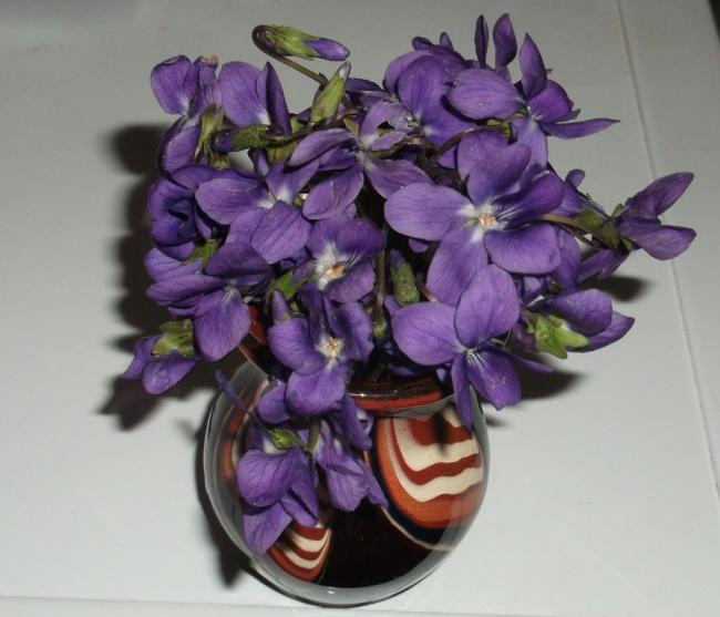 Name:  DSCF6648.jpg
Views: 588
Size:  41.4 KB