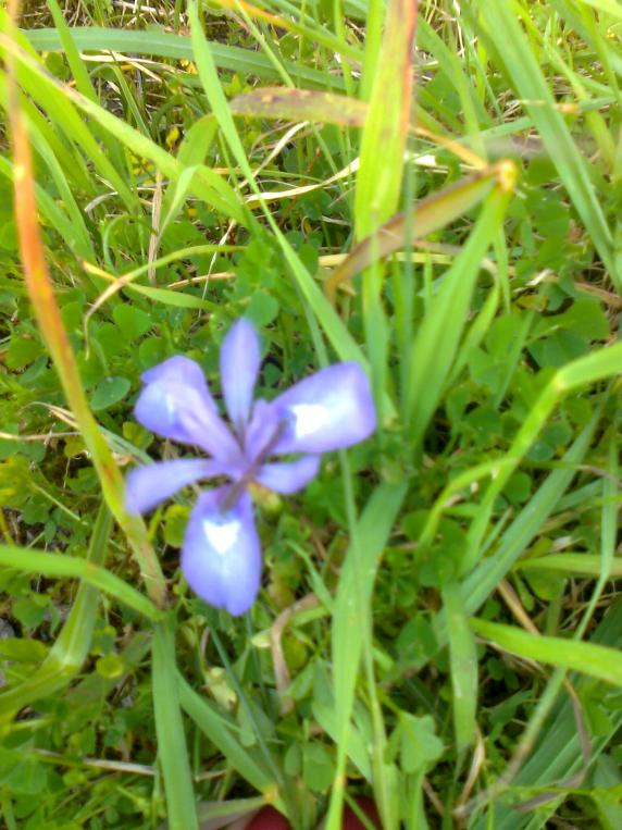 Name:  Fotoraf1994.jpg
Views: 532
Size:  74.7 KB