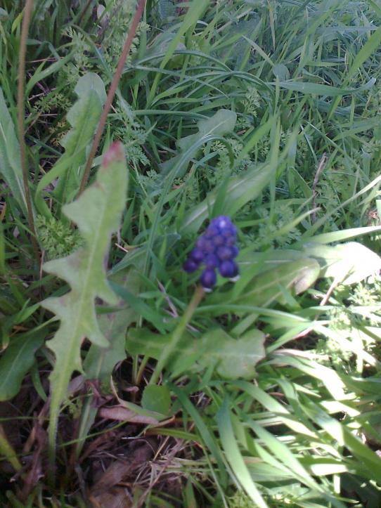 Name:  Fotoraf1998.jpg
Views: 507
Size:  75.0 KB