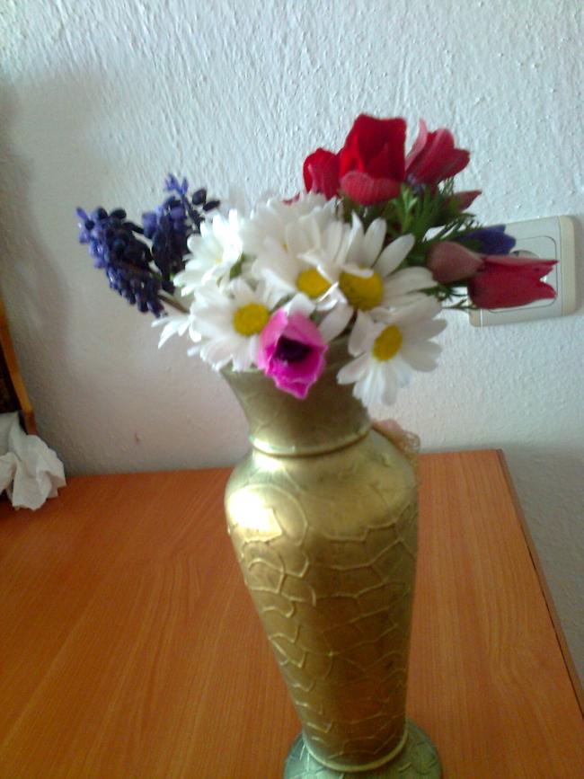 Name:  Fotoraf2002.jpg
Views: 488
Size:  61.7 KB