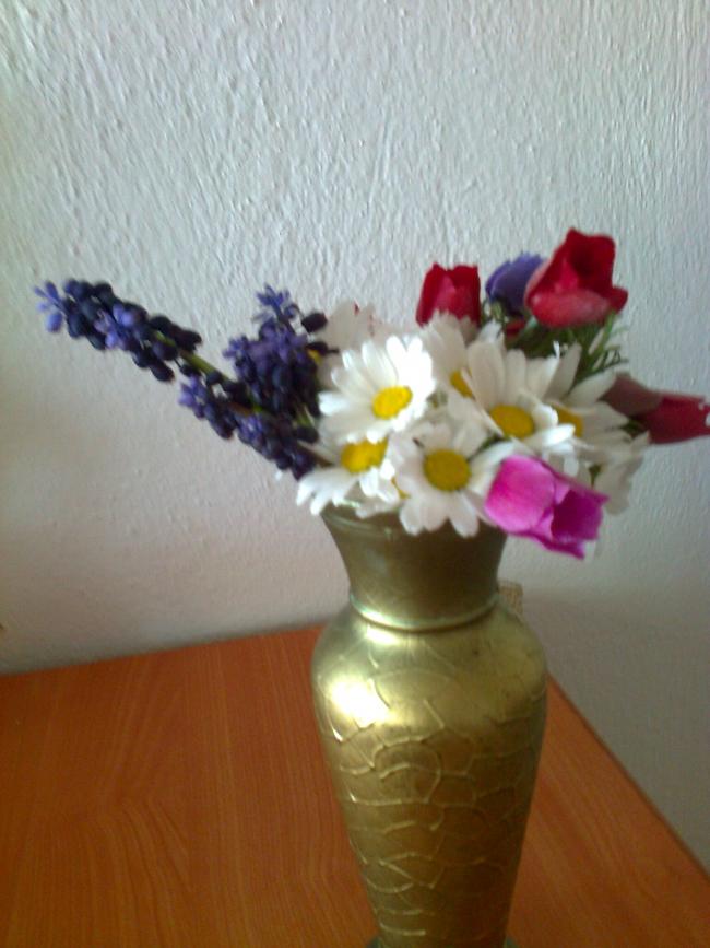 Name:  Fotoraf2005.jpg
Views: 476
Size:  57.6 KB