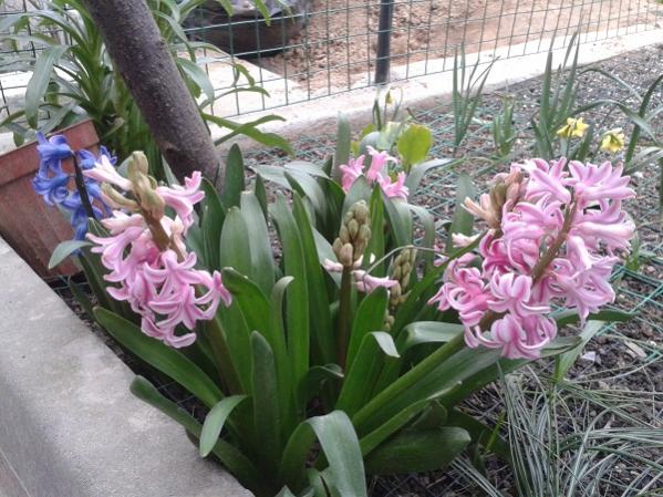 Name:  20150310_165710.jpg
Views: 650
Size:  62.7 KB