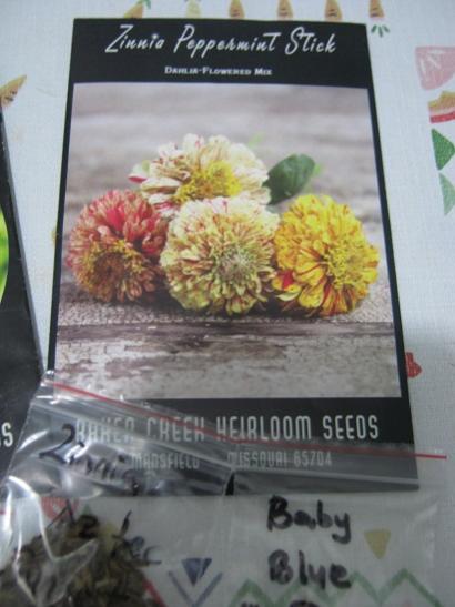 Name:  zinnia peppermint.jpg
Views: 1184
Size:  33.0 KB