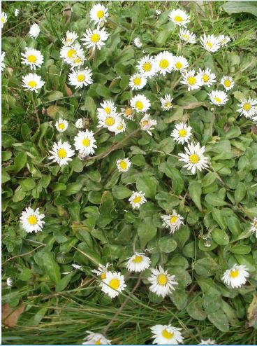 Name:  Ekran Alnts1.JPG
Views: 383
Size:  65.6 KB