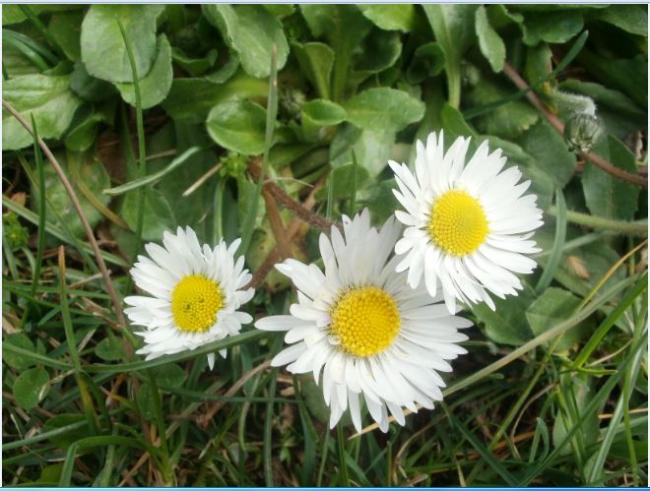Name:  Ekran Alnts2.jpg
Views: 393
Size:  55.8 KB