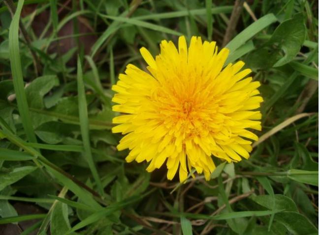 Name:  Ekran Alnts5.jpg
Views: 390
Size:  43.2 KB