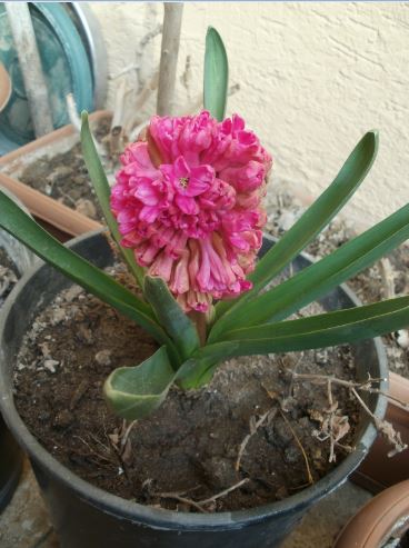 Name:  Ekran Alnts7.JPG
Views: 348
Size:  44.1 KB