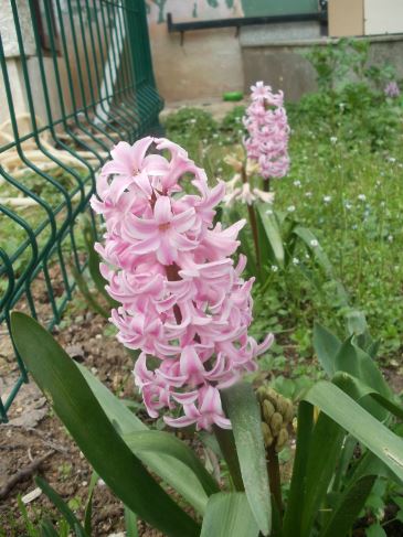 Name:  Ekran Alnts14.JPG
Views: 613
Size:  49.2 KB