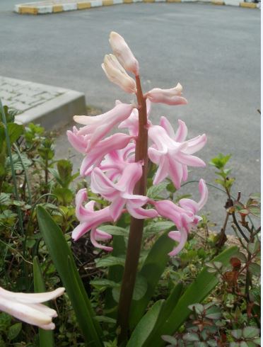 Name:  Ekran Alntsa.JPG
Views: 348
Size:  41.0 KB