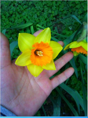 Name:  Ekran Alnts41.JPG
Views: 348
Size:  38.9 KB