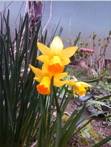 Name:  Ekran Alnts42.JPG
Views: 361
Size:  47.6 KB
