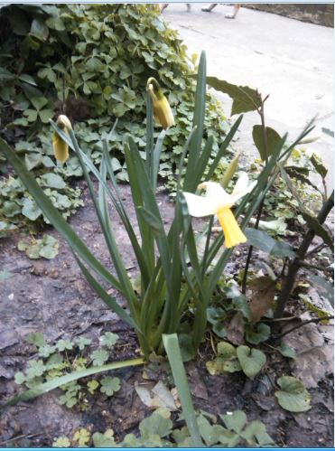 Name:  Ekran Alnts43.JPG
Views: 346
Size:  56.9 KB