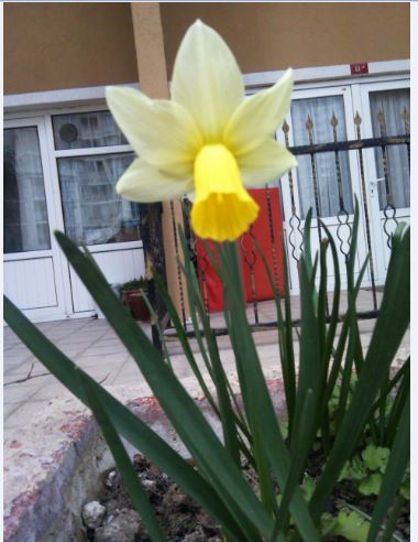 Name:  Ekran Alnts50.JPG
Views: 357
Size:  43.3 KB