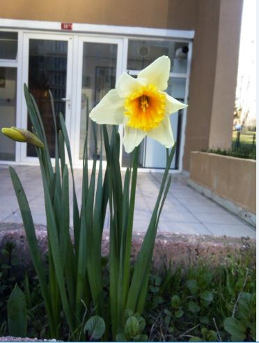 Name:  Ekran Alnts52.JPG
Views: 352
Size:  37.4 KB