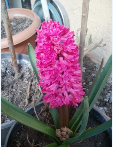 Name:  Ekran Alnts18.JPG
Views: 321
Size:  45.0 KB