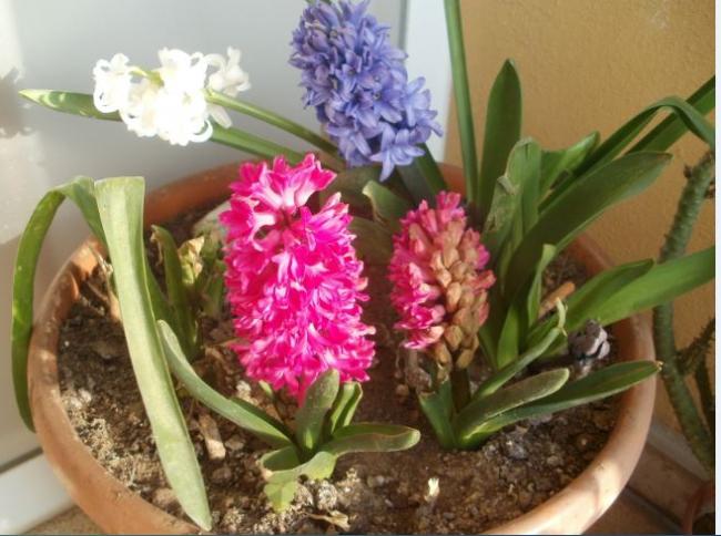 Name:  Ekran Alnts19.jpg
Views: 330
Size:  50.3 KB