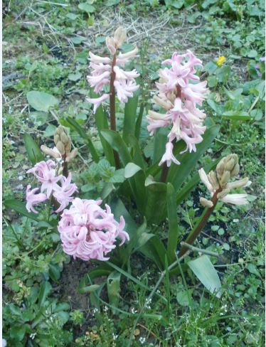 Name:  Ekran Alnts20.JPG
Views: 327
Size:  61.8 KB