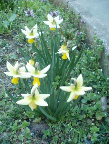 Name:  Ekran Alnts22.JPG
Views: 302
Size:  54.4 KB