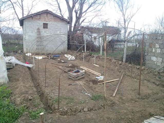 Name:  CAM01209.jpg
Views: 951
Size:  65.2 KB