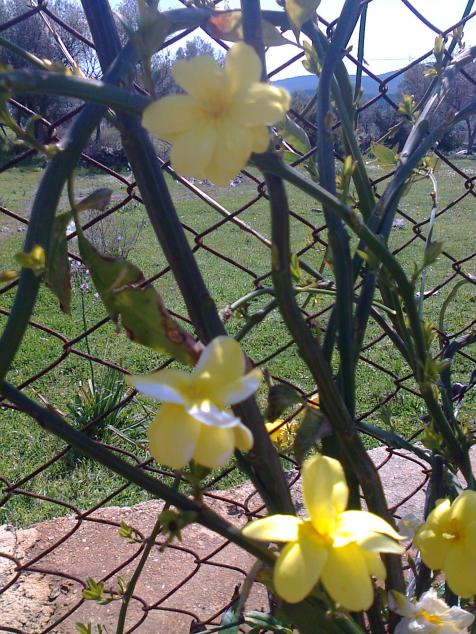 Name:  Fotoraf2048 - Kopya.jpg
Views: 607
Size:  77.4 KB