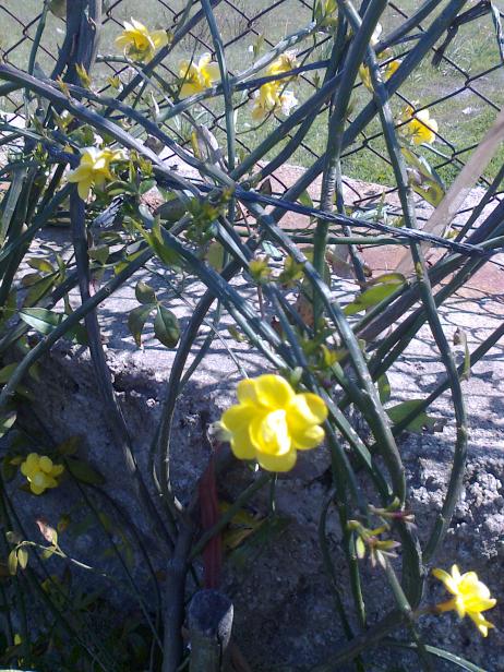 Name:  Fotoraf2047.jpg
Views: 575
Size:  77.9 KB