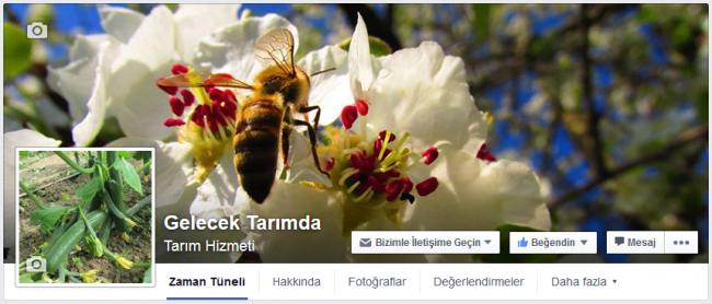 Name:  gt.jpg
Views: 849
Size:  36.3 KB