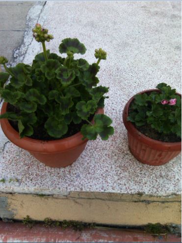 Name:  Ekran Alntss.JPG
Views: 435
Size:  46.3 KB