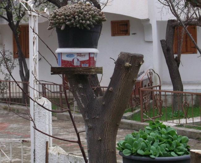 Name:  DSCF6730.jpg
Views: 564
Size:  61.4 KB