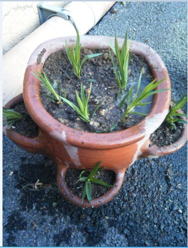 Name:  Ekran Alnts1.JPG
Views: 641
Size:  56.9 KB