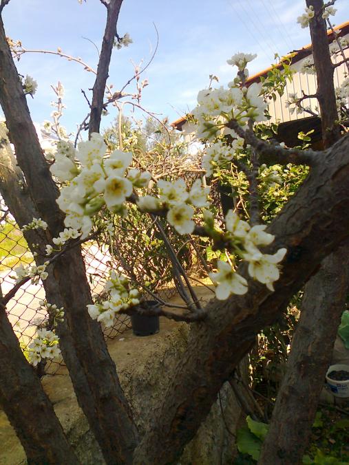 Name:  Fotoraf2050.jpg
Views: 545
Size:  75.7 KB