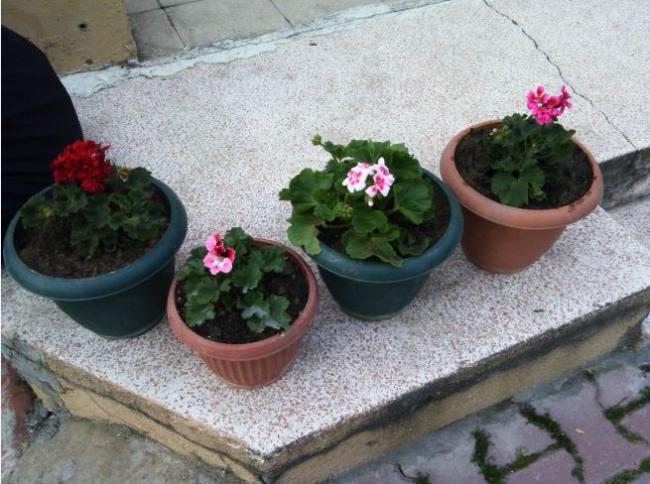 Name:  Ekran Alntsi.jpg
Views: 387
Size:  56.9 KB