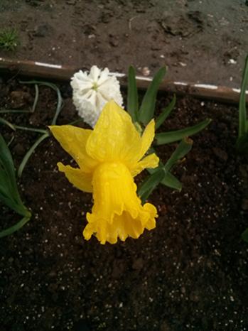 Name:  CAM01301.jpg
Views: 867
Size:  26.1 KB