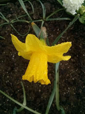Name:  CAM01302.jpg
Views: 868
Size:  24.8 KB