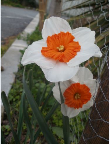 Name:  Ekran Alnts4.JPG
Views: 293
Size:  34.4 KB