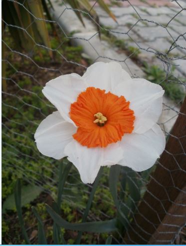 Name:  Ekran Alnts5.JPG
Views: 315
Size:  37.9 KB